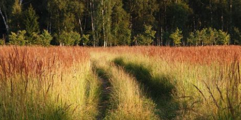 Národní parky přidělí pozemky pro izhs a „na oplátku“ rozšíří chráněná území